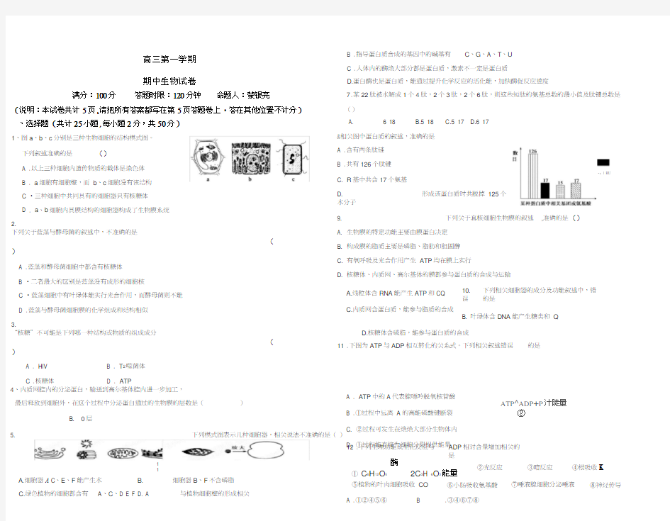 高三生物期中考试