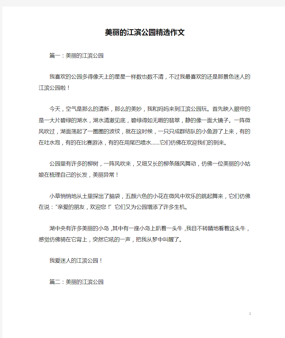 美丽的江滨公园精选作文