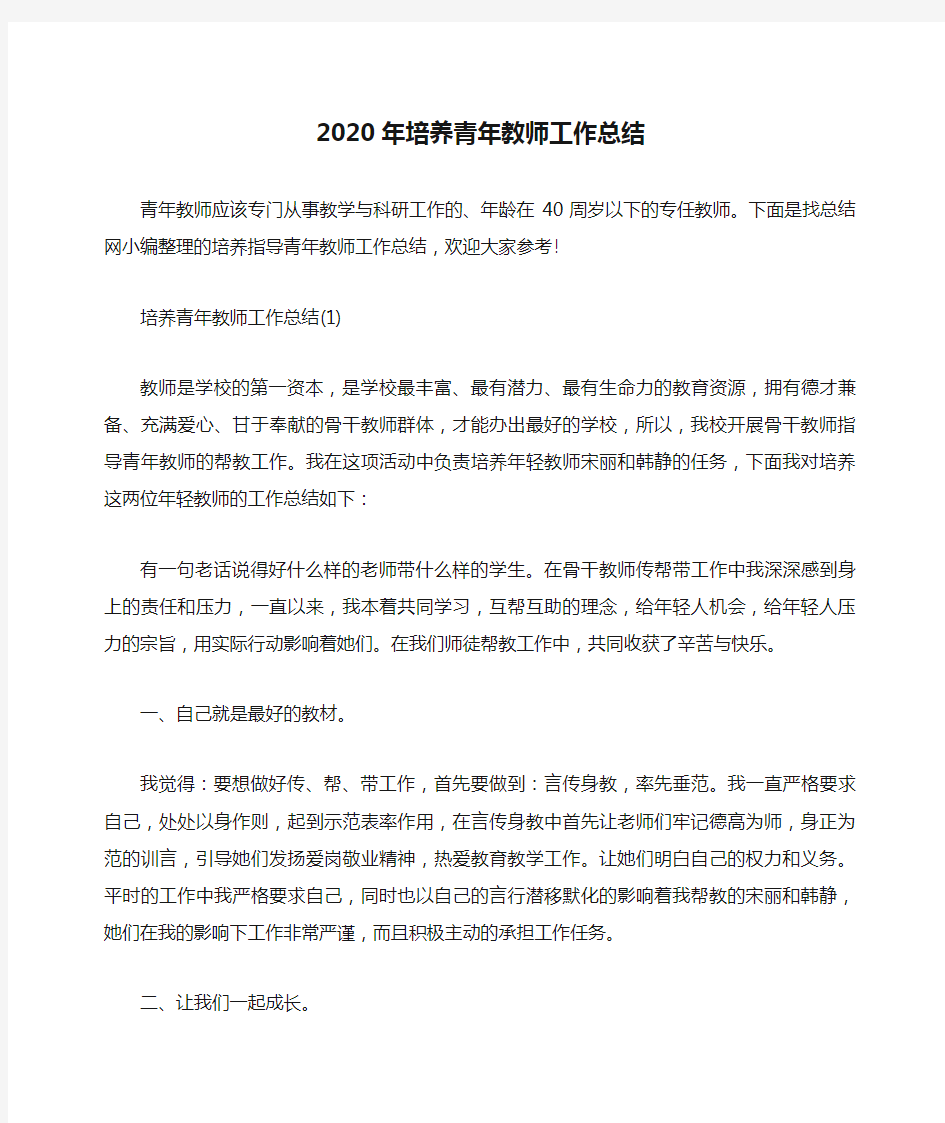 2020年培养青年教师工作总结