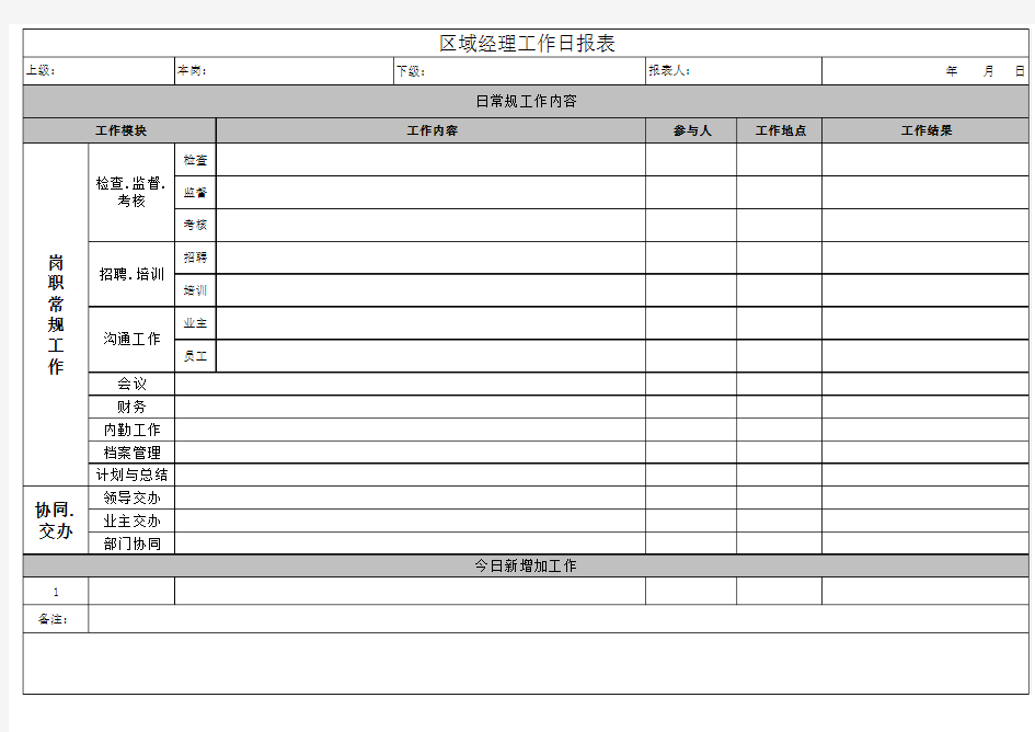 区域经理日报表