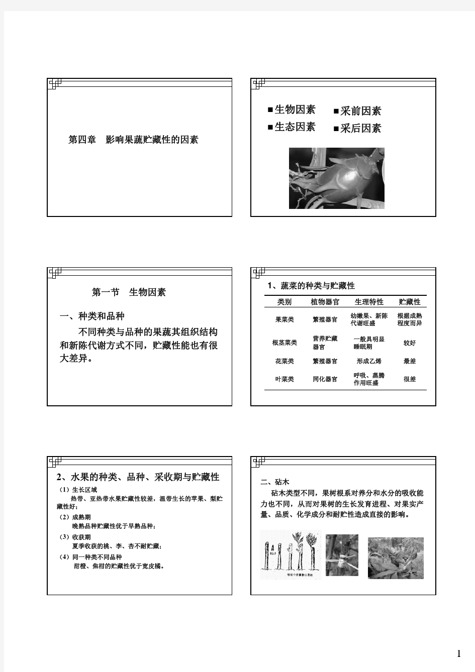 4-6采后处理、运输