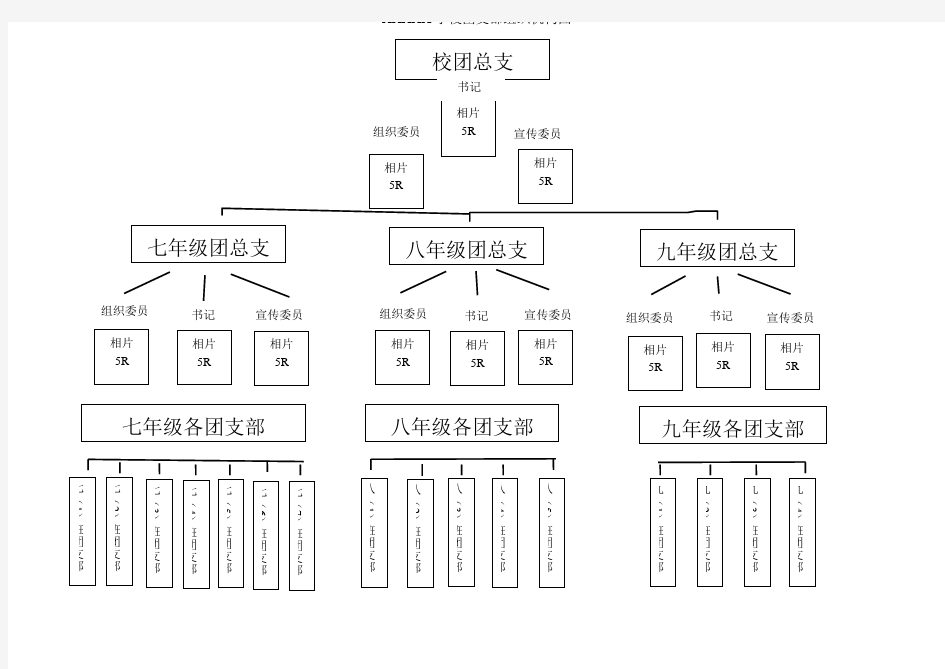 团支部组织机构图