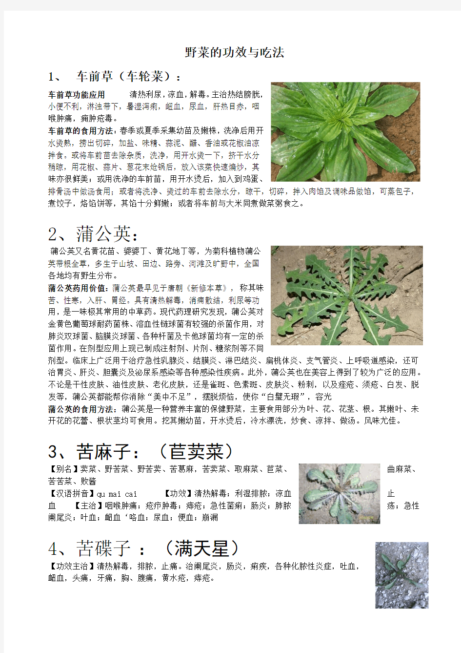 野菜的功效与吃法