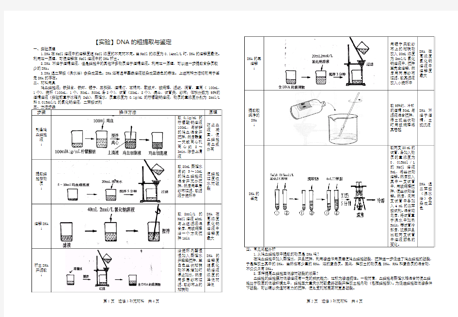 【实验】DNA的粗提取与鉴定