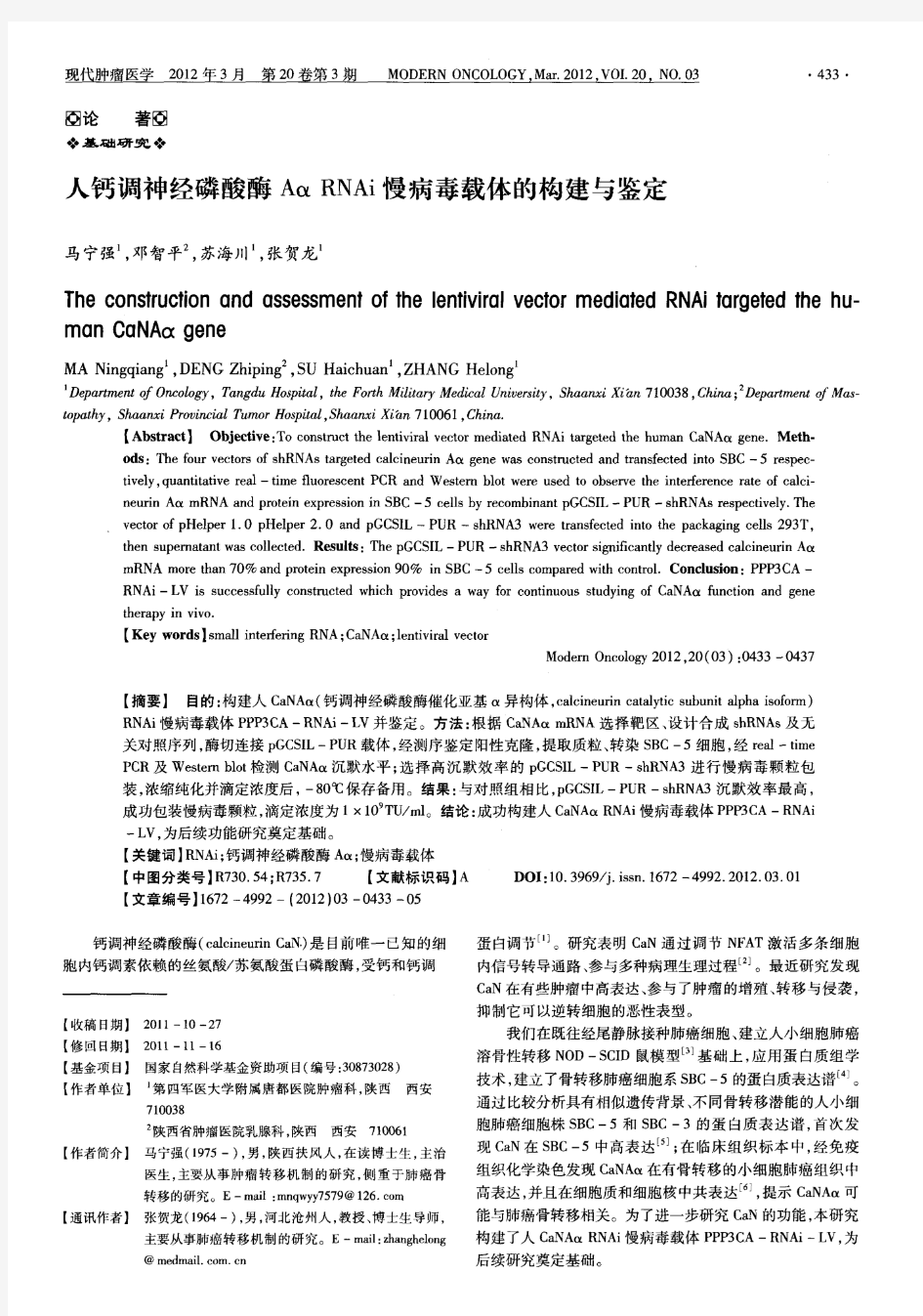 人钙调神经磷酸酶Aα RNAi慢病毒载体的构建与鉴定