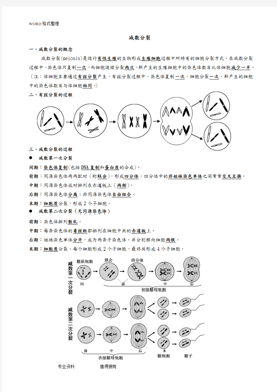 (完整版)减数分裂知识点归纳及试题