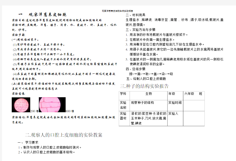 观察洋葱表皮细胞生物实验报告