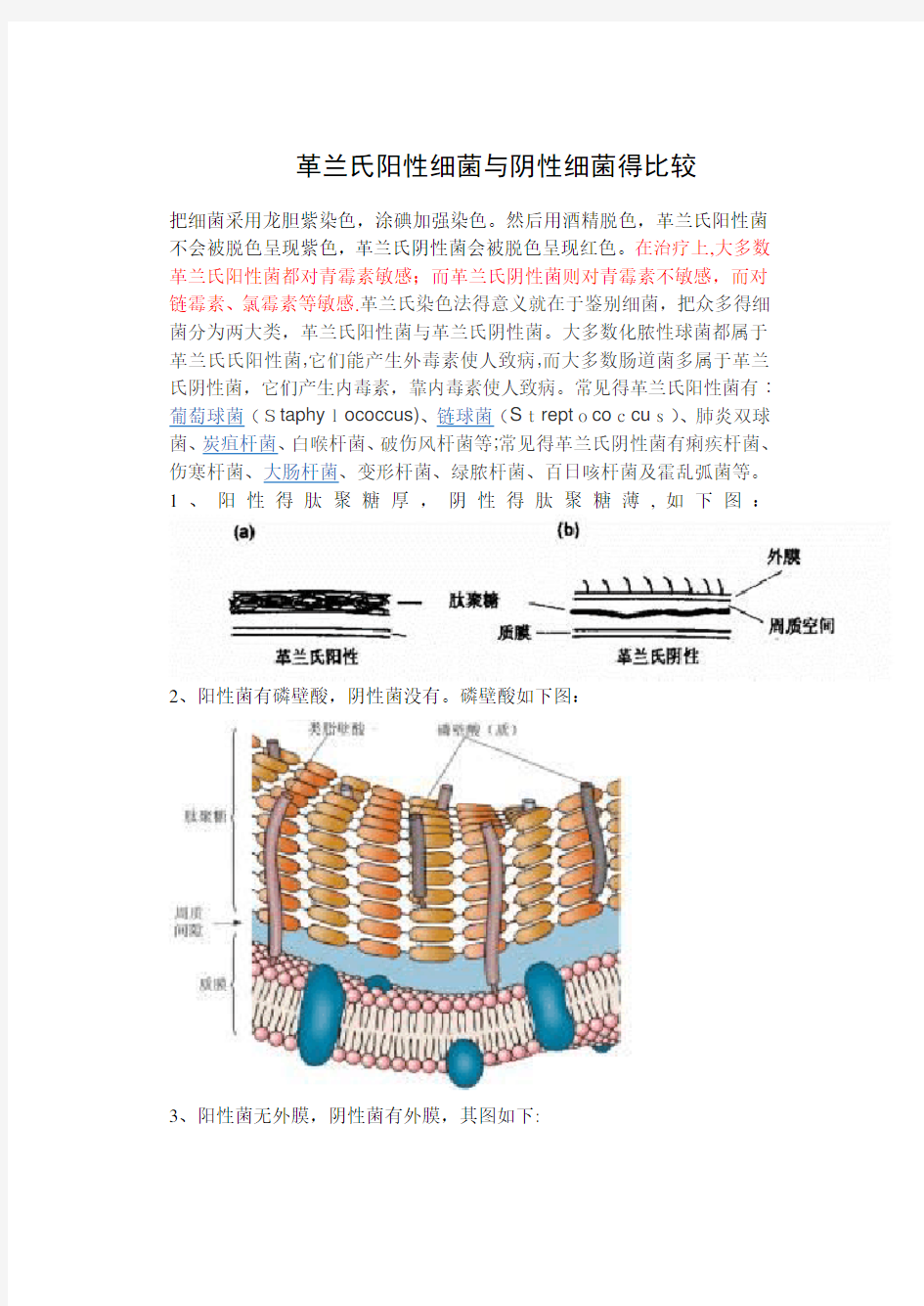 革兰氏阳性菌和革兰氏阴性菌的区别