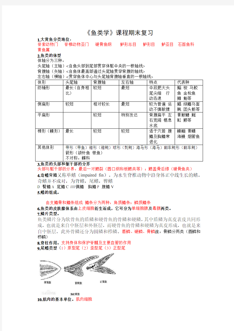 鱼类学复习资料