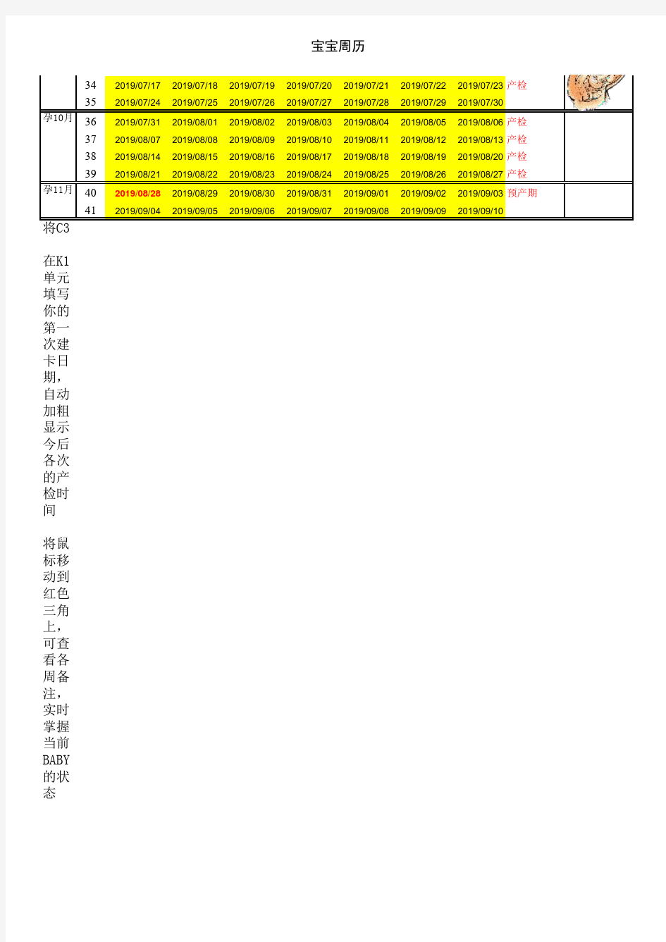 最新孕期必看 宝宝周历-孕周表完美版