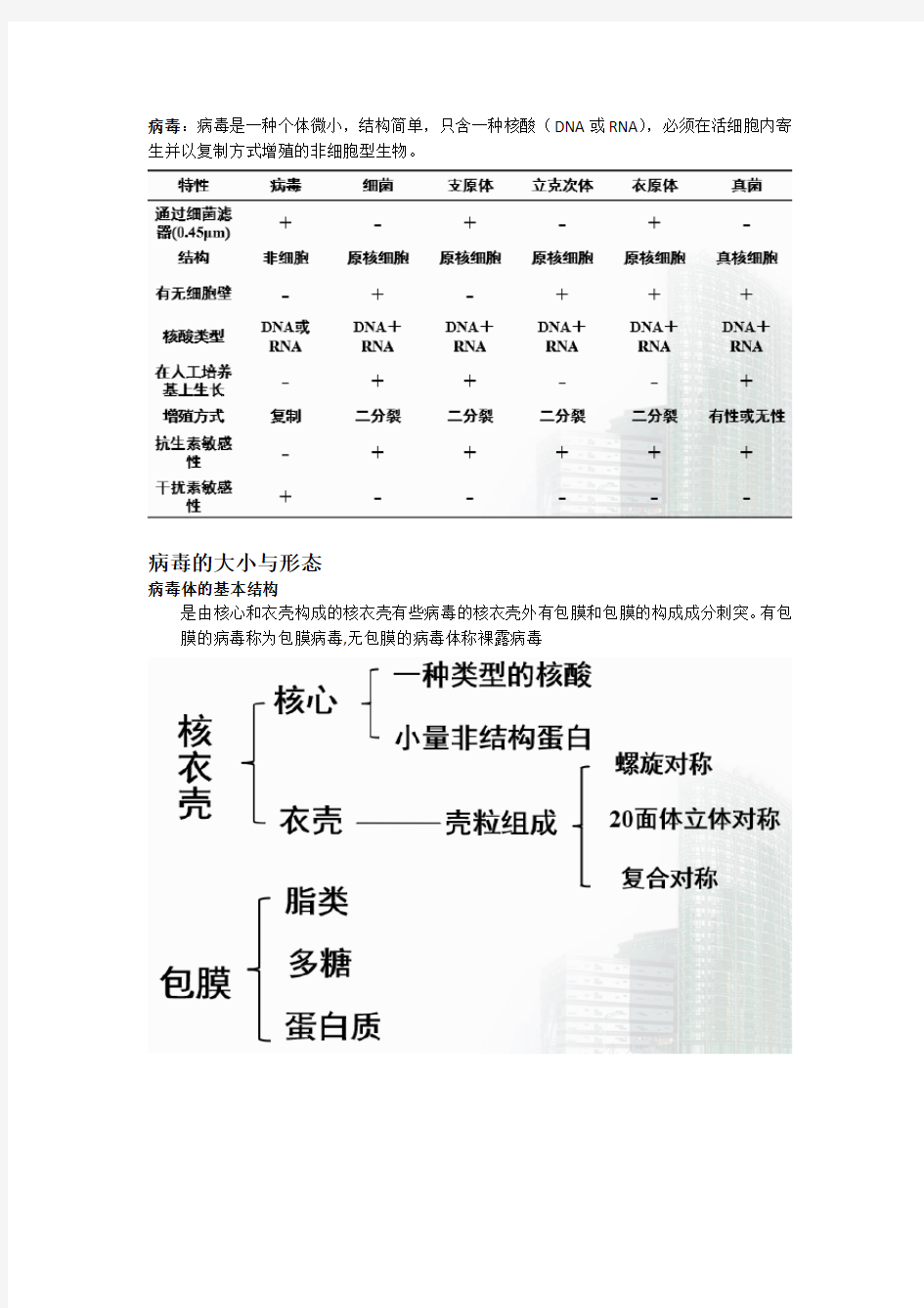 病毒的基本性状