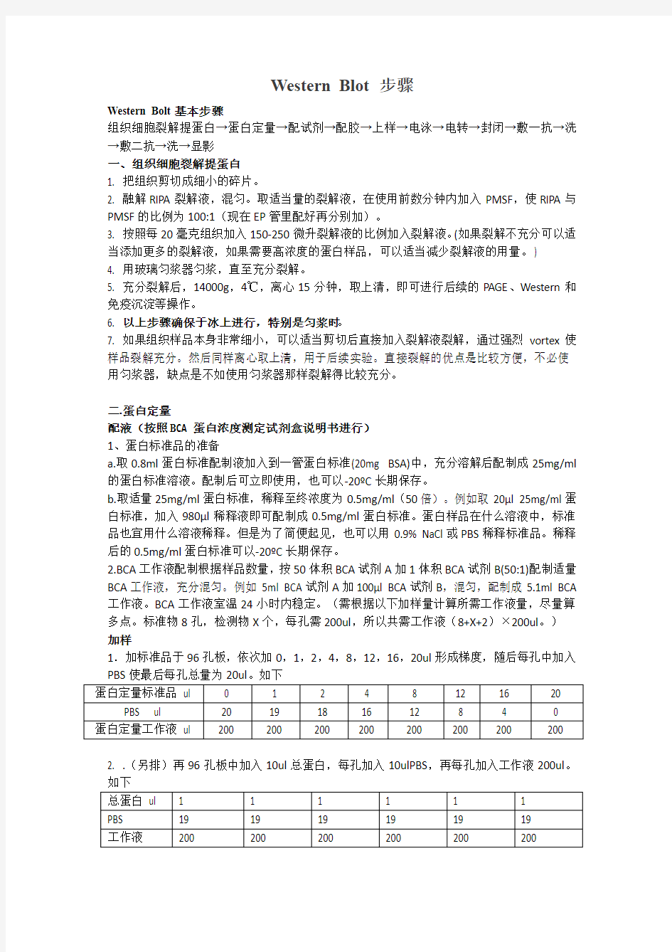 western blot,WB,蛋白质印迹法,免疫印迹试验