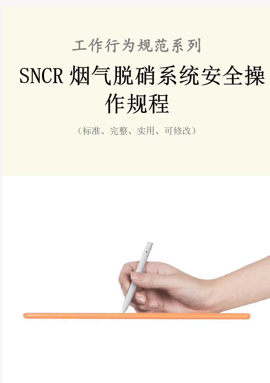 SNCR烟气脱硝系统安全操作规程模板