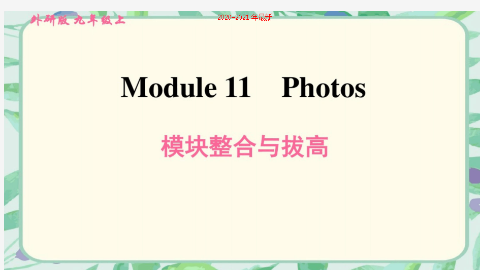 2020外研版(新标准)英语九年级上册Module11Photos模块整合与拔高训练