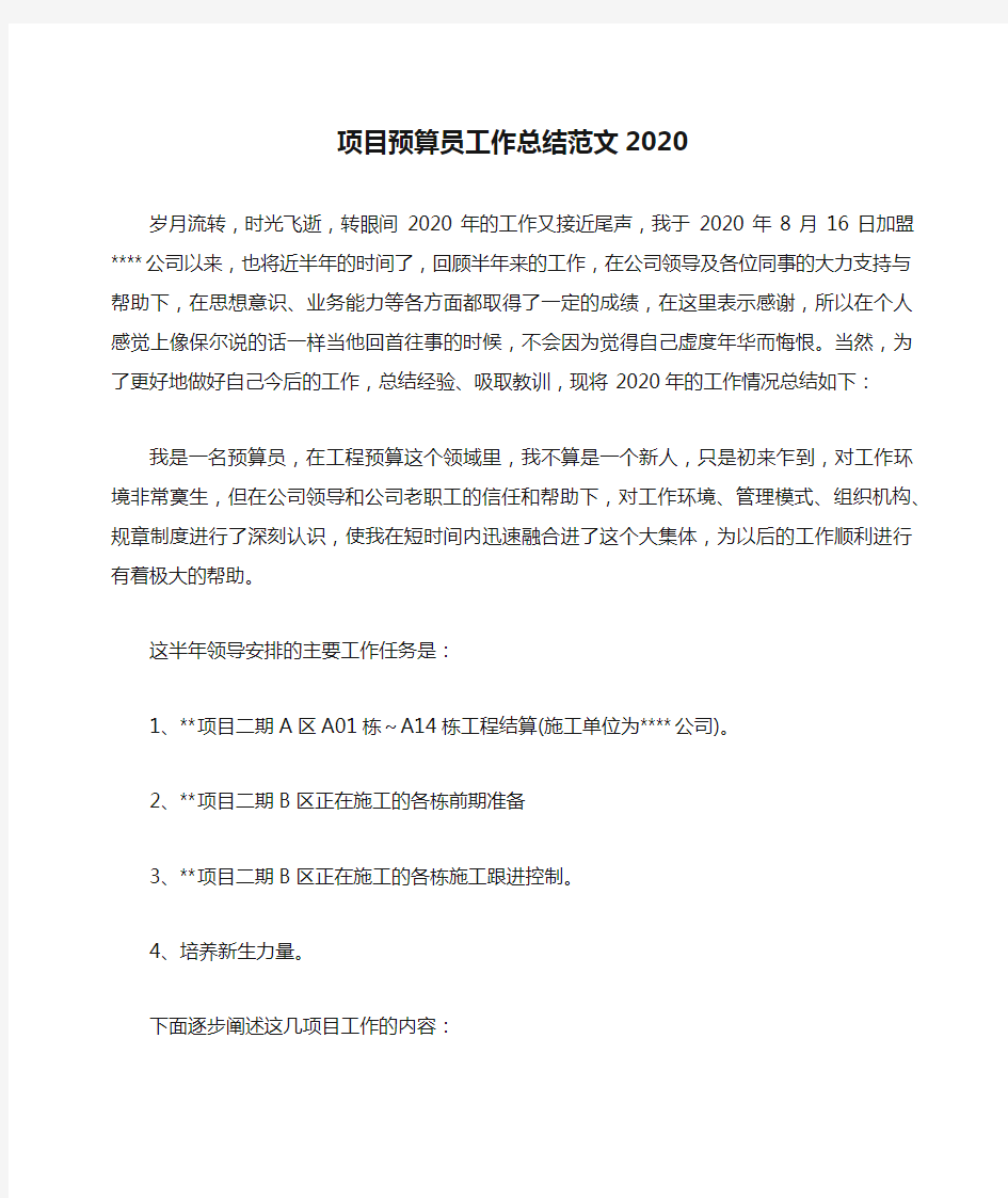 项目预算员工作总结范文2020