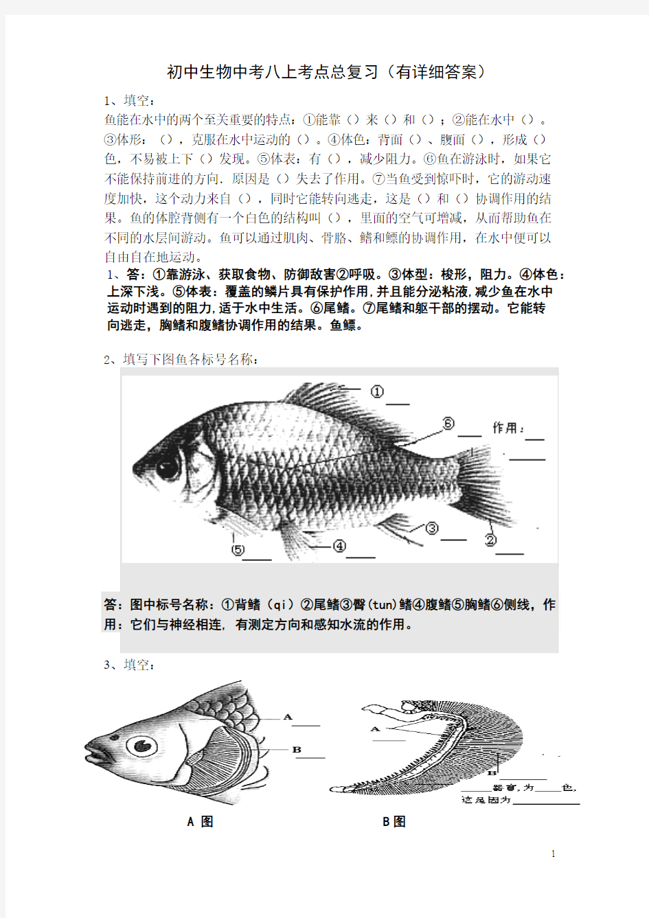 初中生物中考八上考点、图总复习(有详细答案)