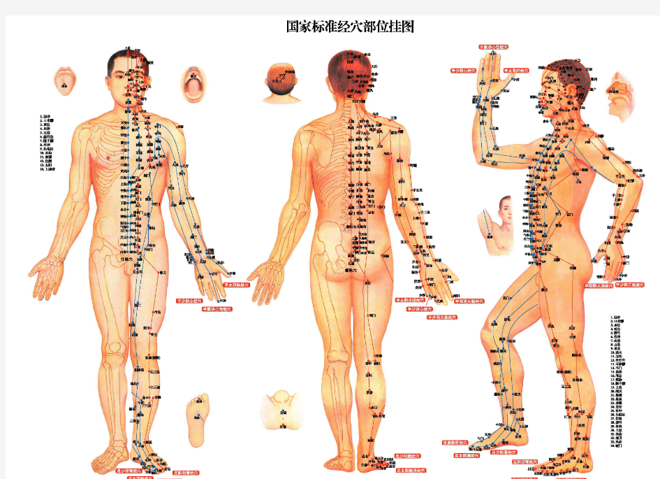 国家级高清版标准针炙穴位挂图【完整版】
