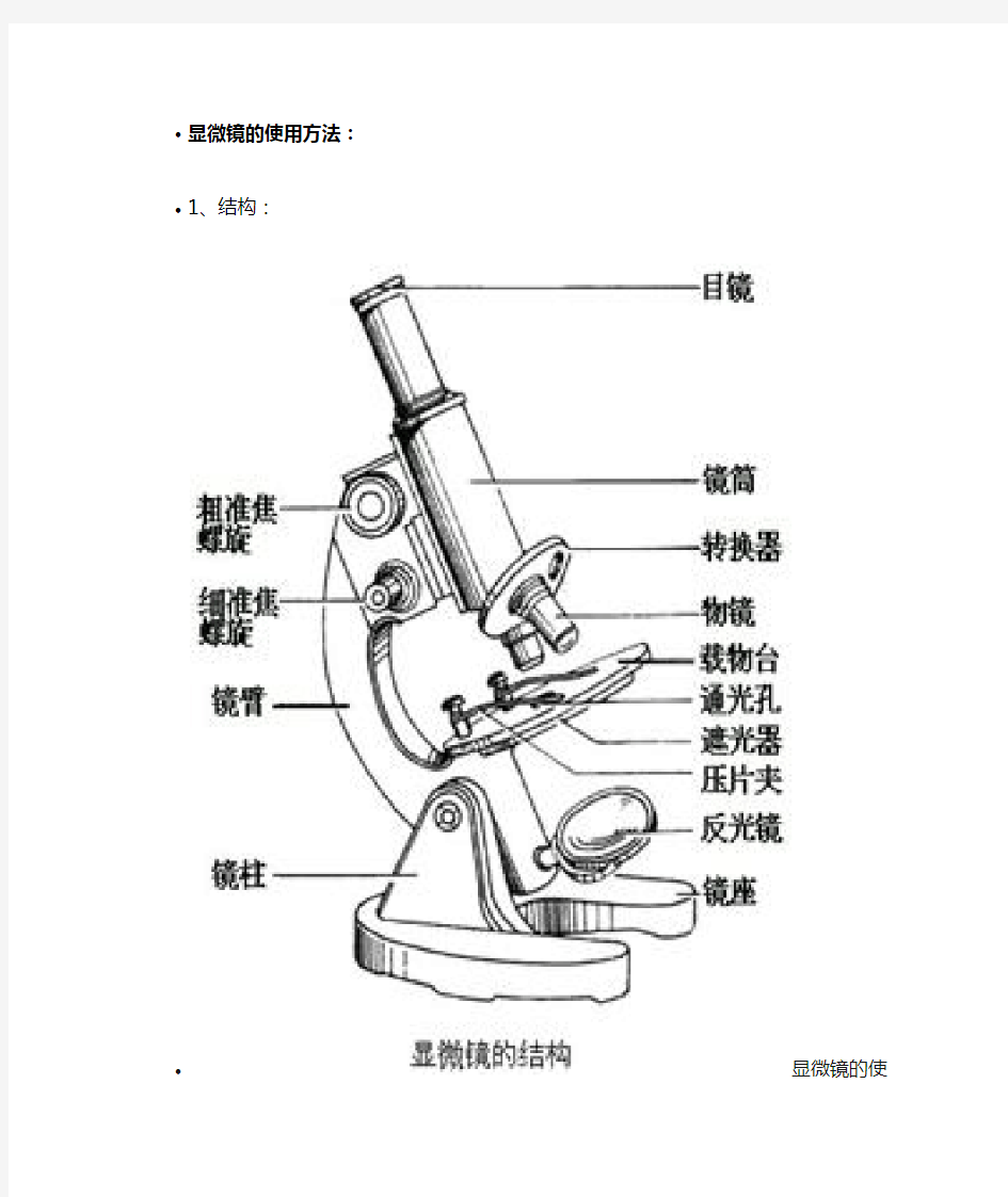 显微镜的使用方法