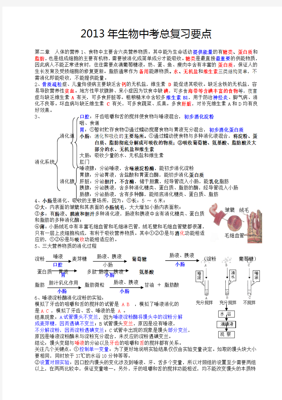 初中生物中考总复习知识要点