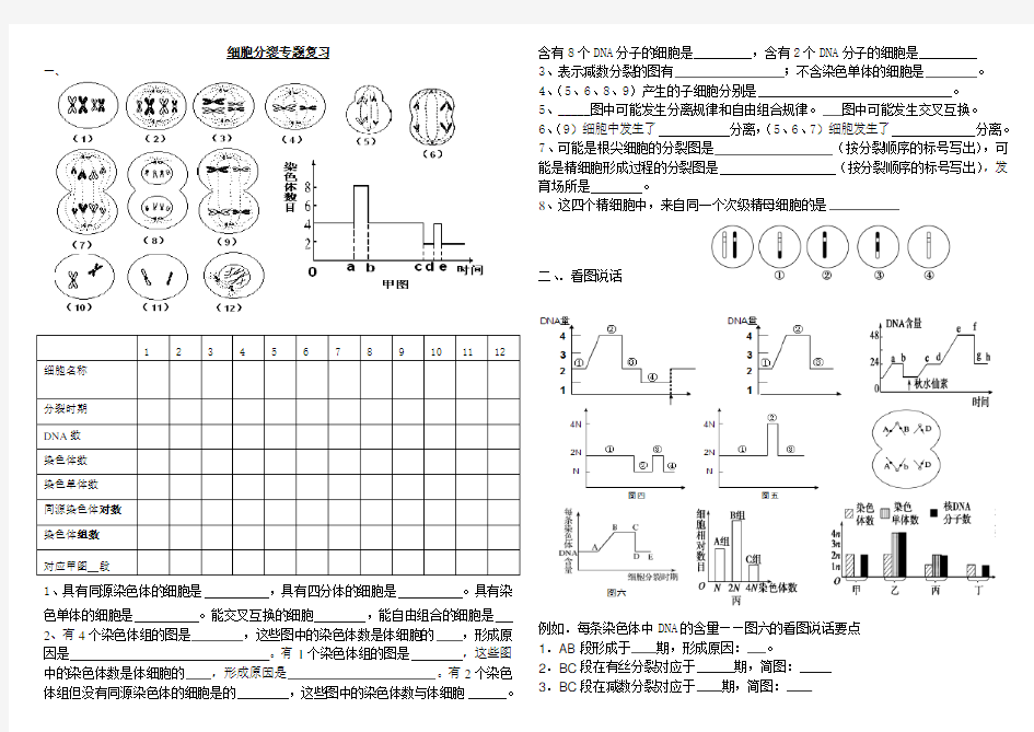 (完整版)高三生物细胞分裂专题复习