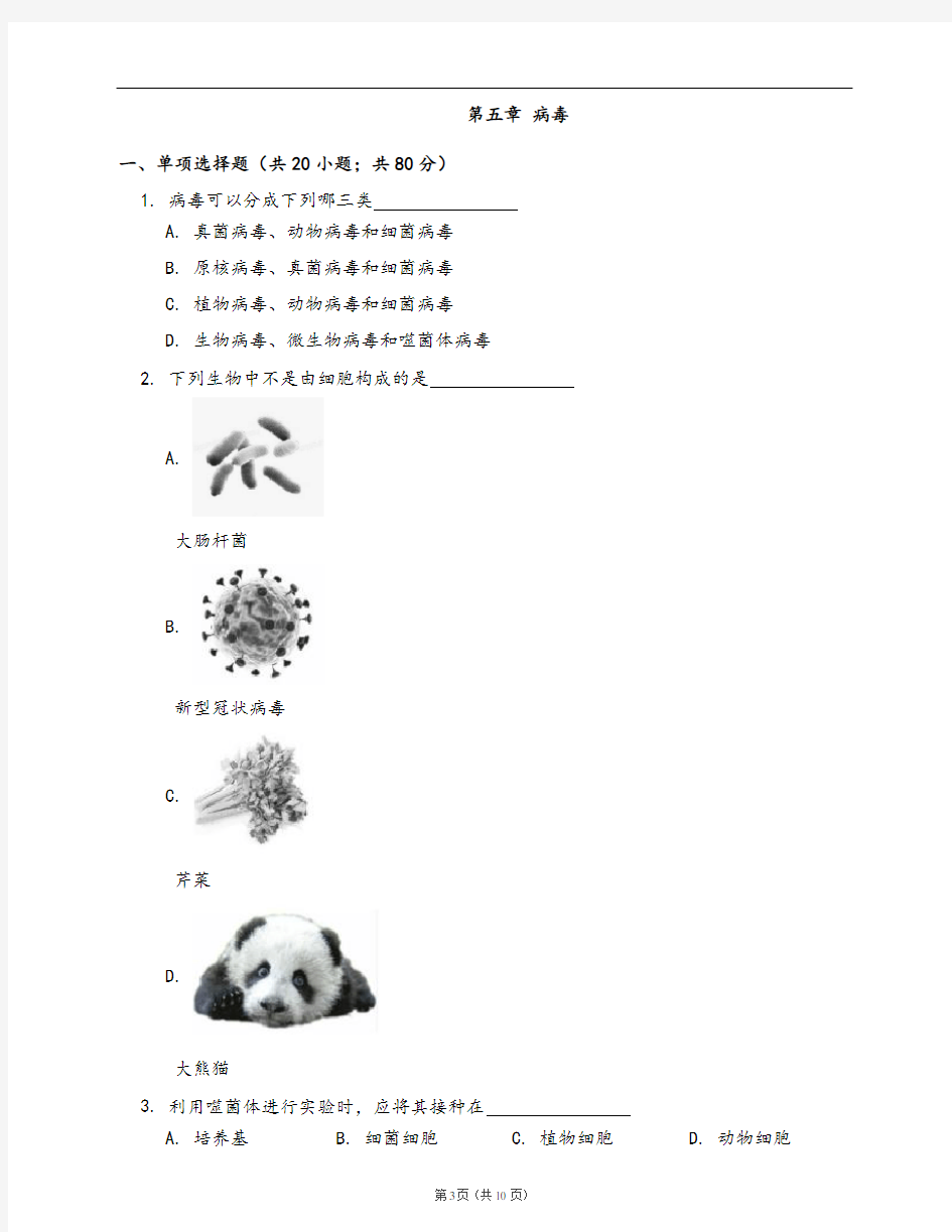 人教版八年级生物上册单元测试卷第五单元第五章 病毒(word版,含答案解析)