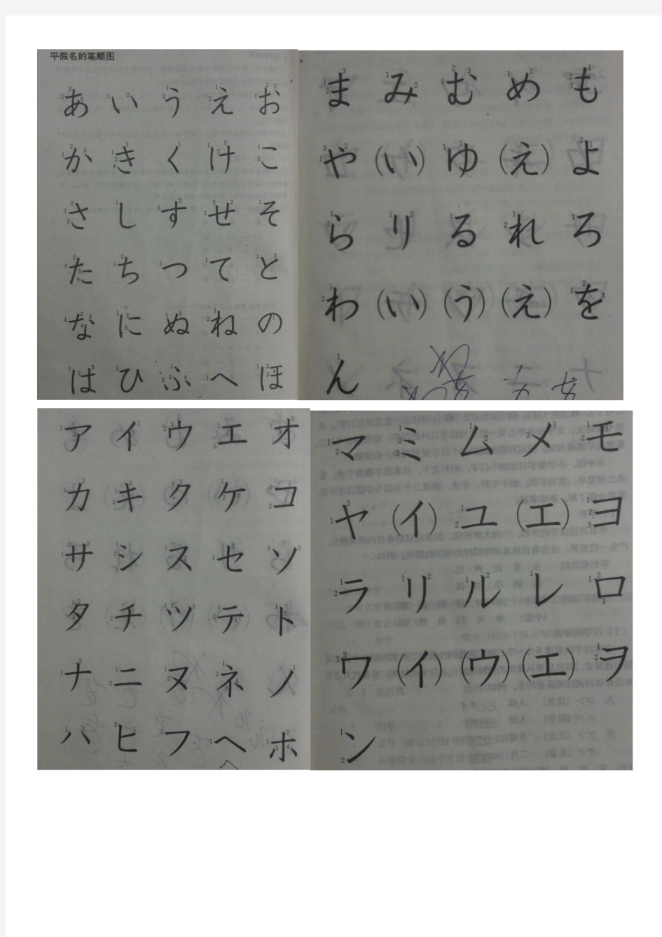日语五十音图平假名片假名写字笔顺