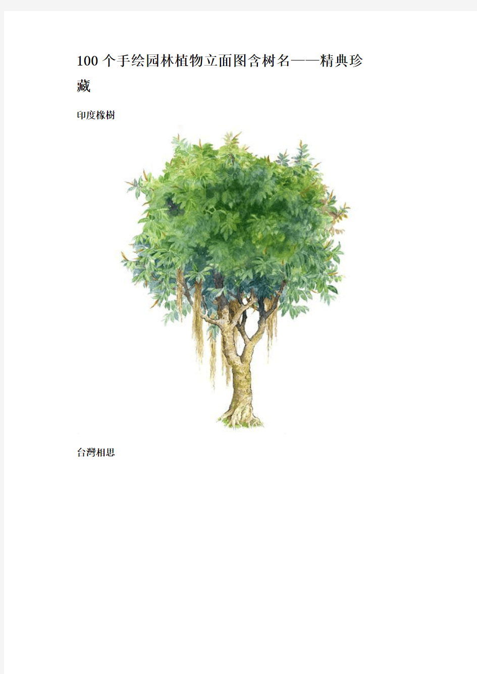 100个手绘园林植物立面图含树名