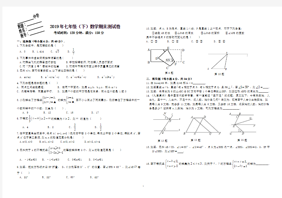 2019年七年级下学期数学期末测试卷 -(有答案)