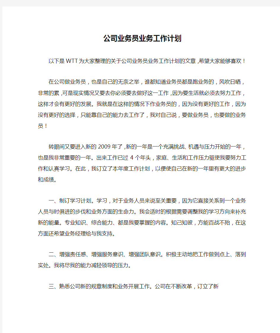 公司业务员业务工作计划