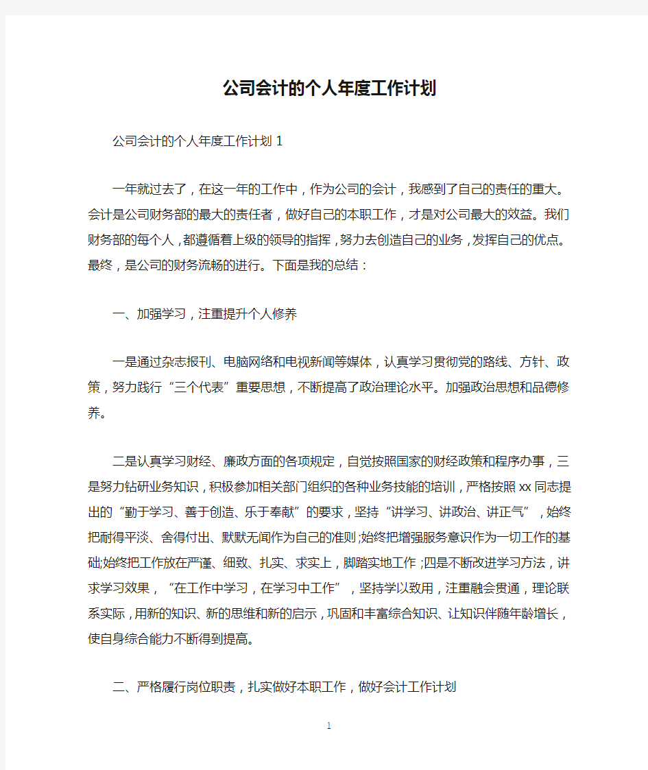 公司会计的个人年度工作计划