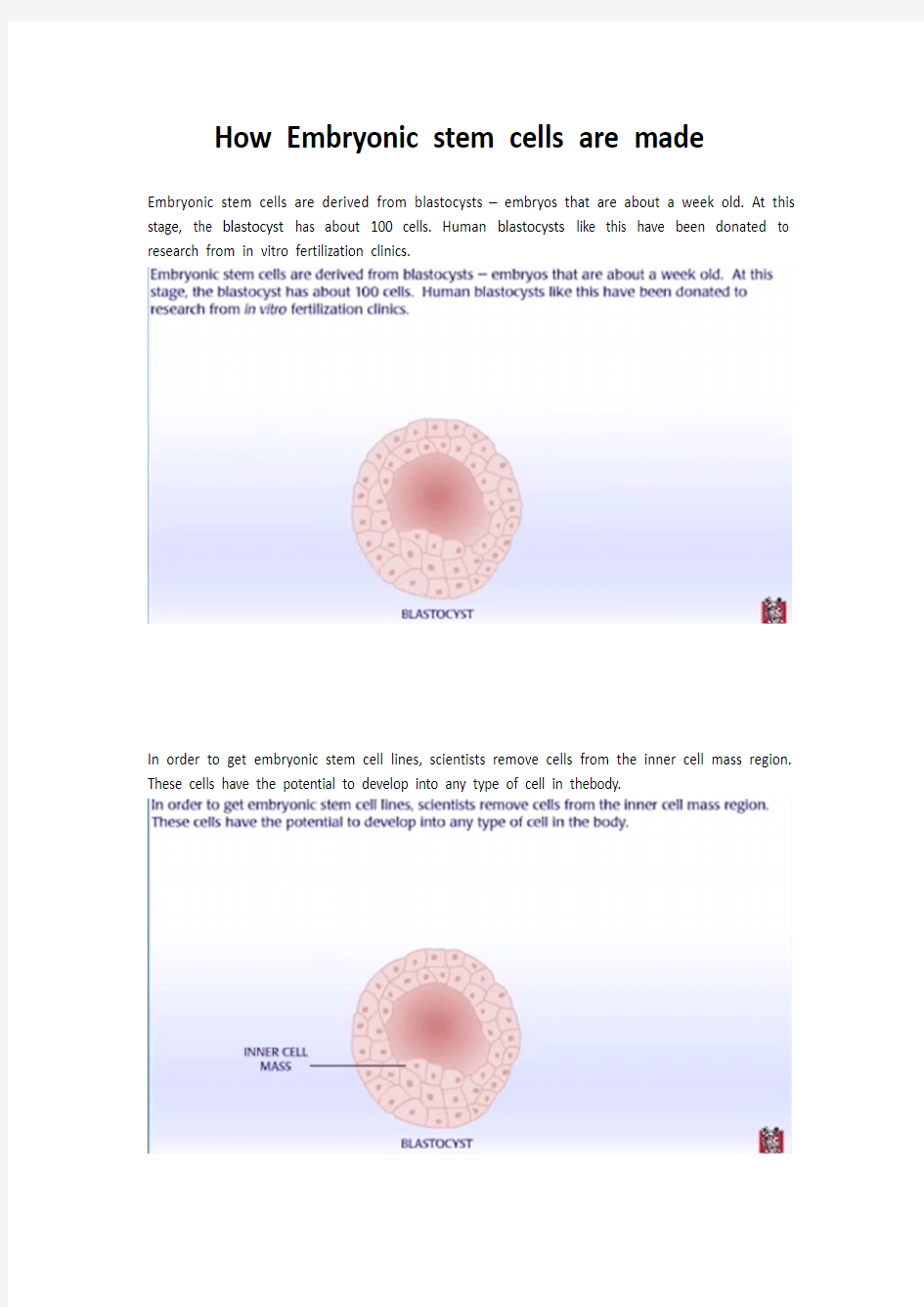 How Embryonic stem cells are made