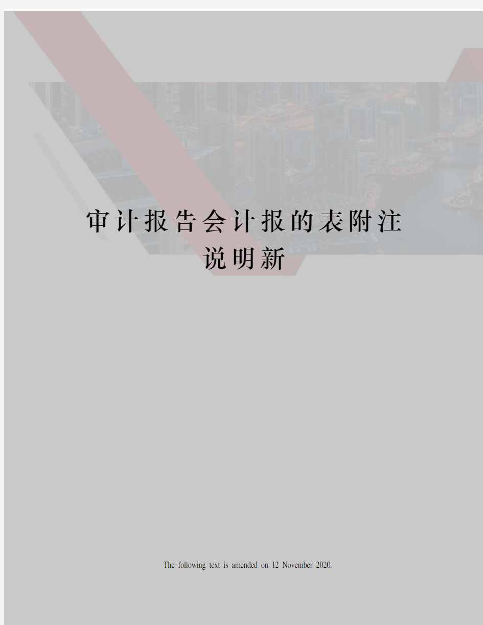 审计报告会计报的表附注说明新