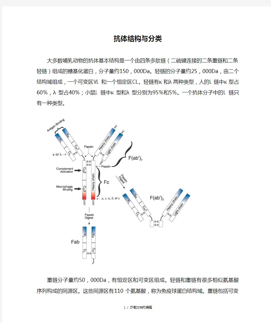 抗体结构与分类