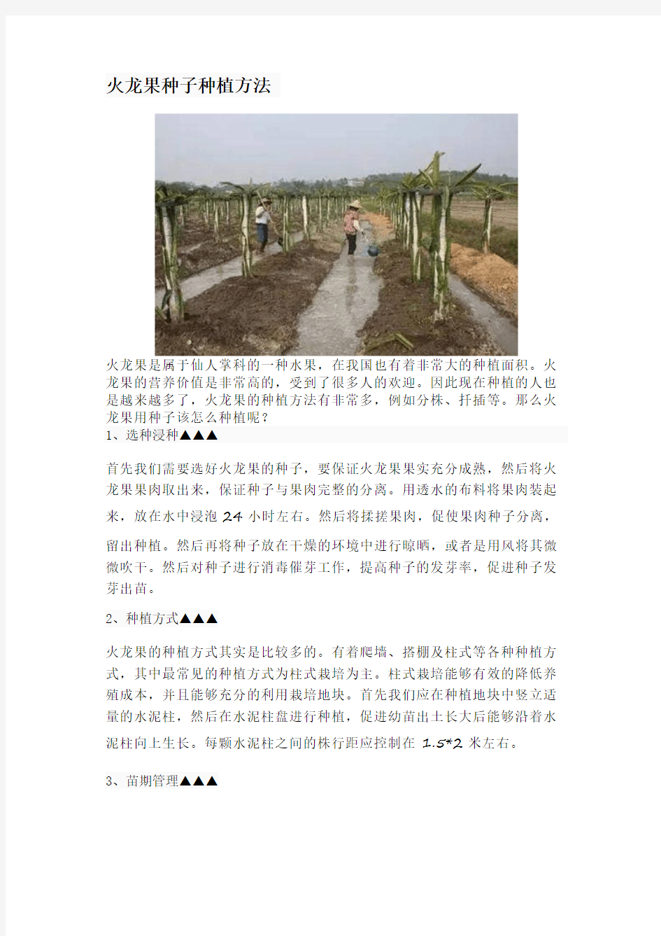 火龙果种子种植方法