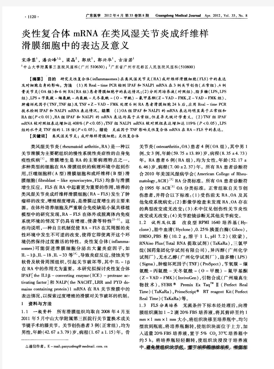 炎性复合体mRNA在类风湿关节炎成纤维样滑膜细胞中的表达及意义