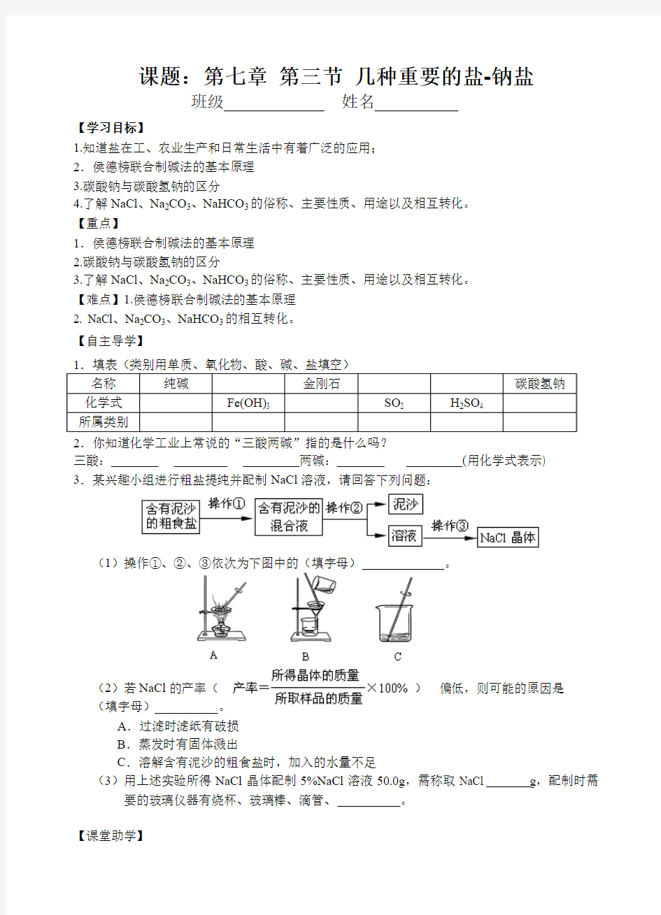 几种重要的盐钠 盐教案