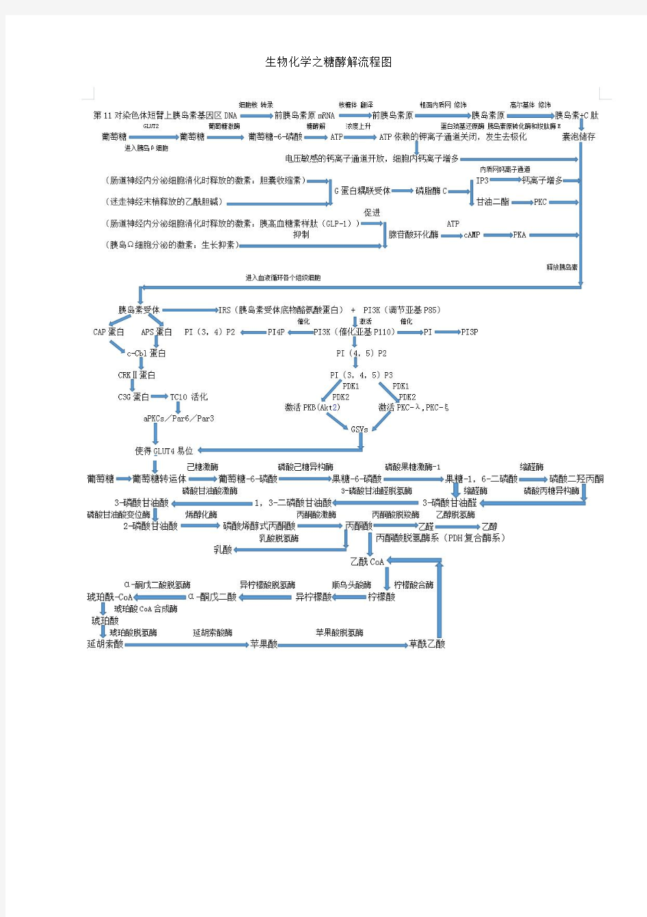 生物化学之糖酵解流程图