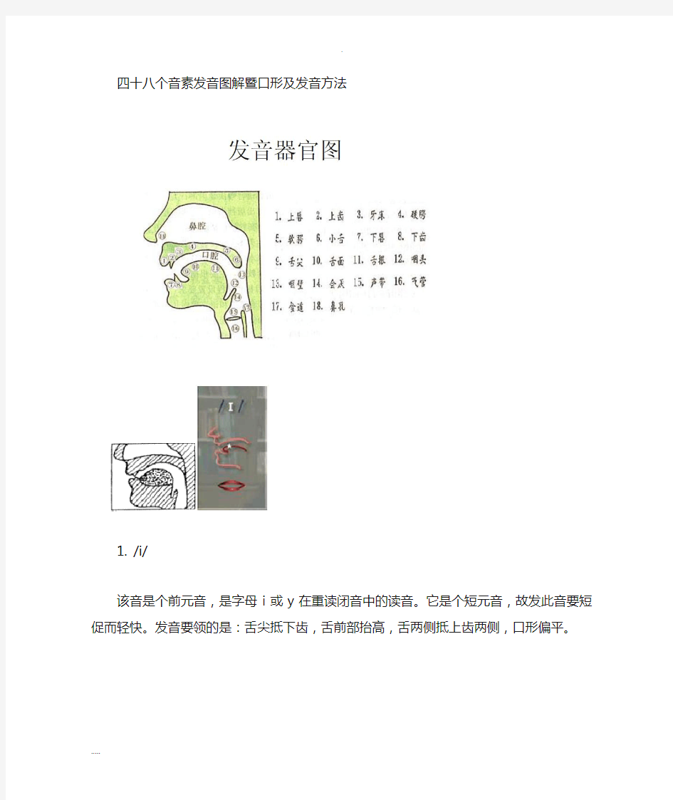 英语国际音标发音舌位图详解发音方法大全