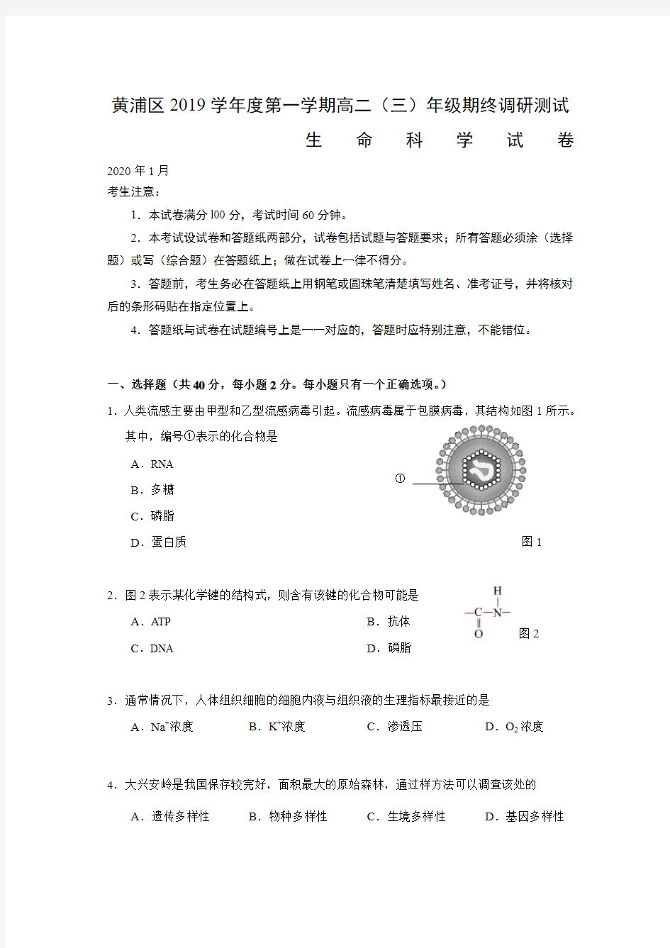 上海黄浦区高三上学期期末调研测试生物试题含答案