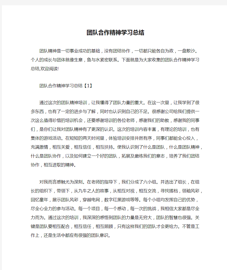 团队合作精神学习总结