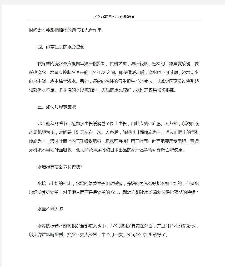 大绿萝怎么养才长得好