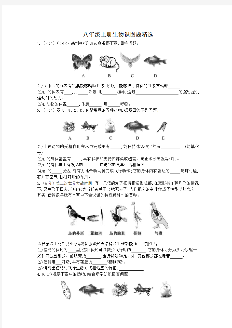 八年级上册生物识图题精选