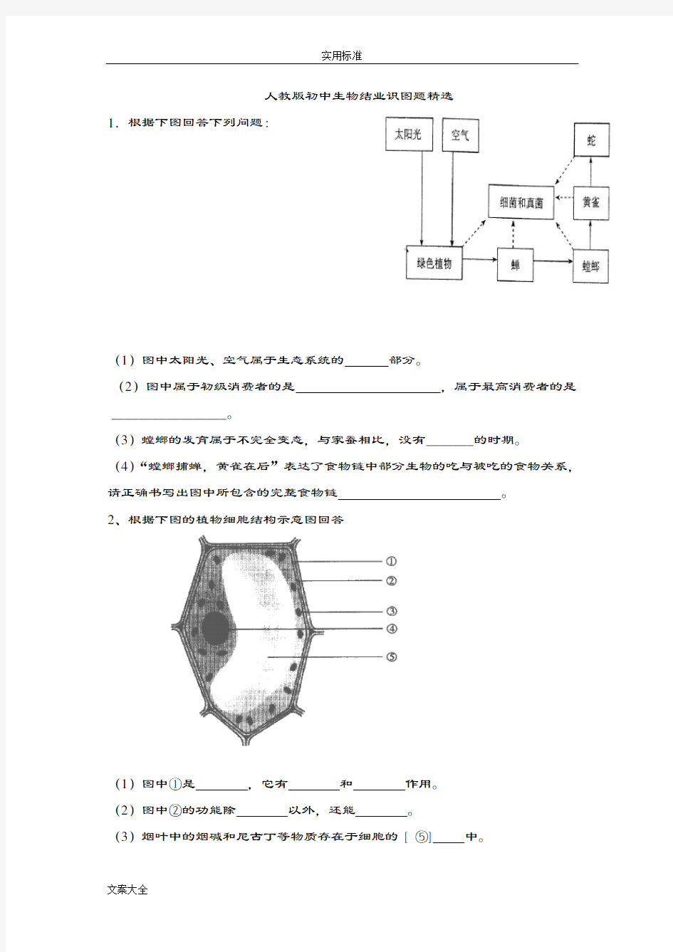 人教版初中生物识图专题整理版