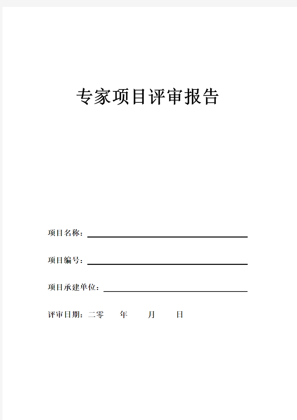 专家项目评审报告模板