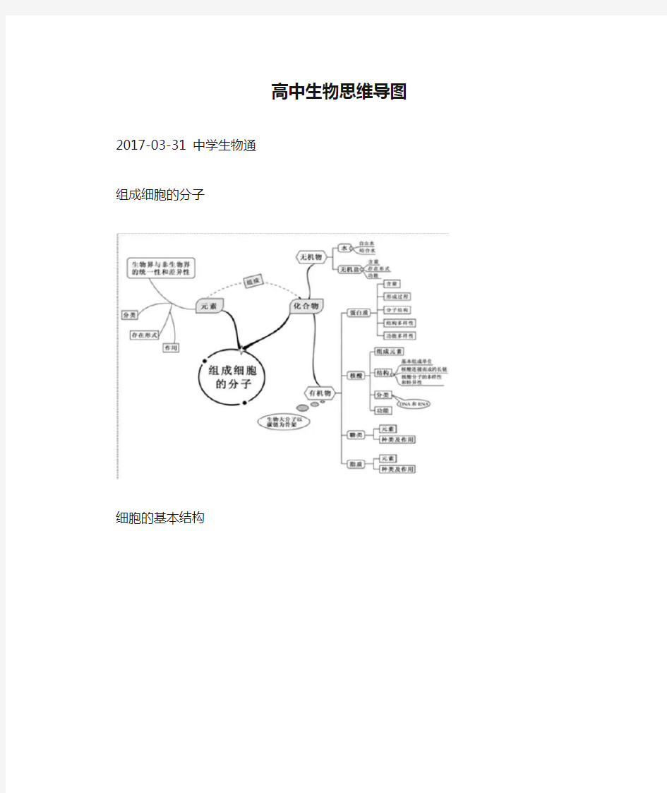 高中生物思维导图