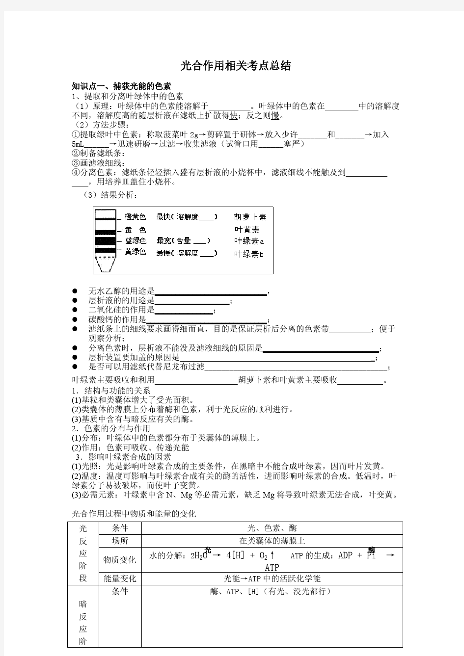 (完整)光合作用知识点归纳总结,推荐文档