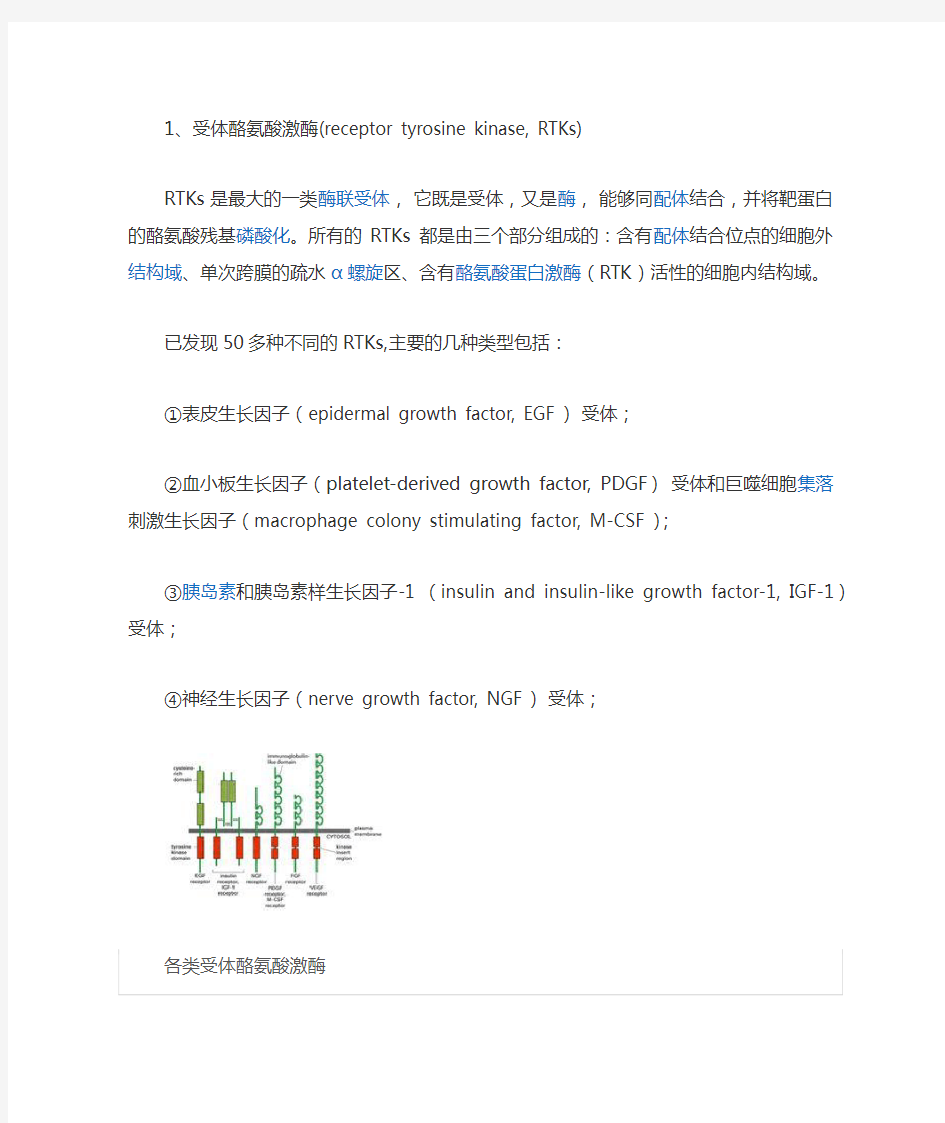 受体酪氨酸激酶RTK介绍