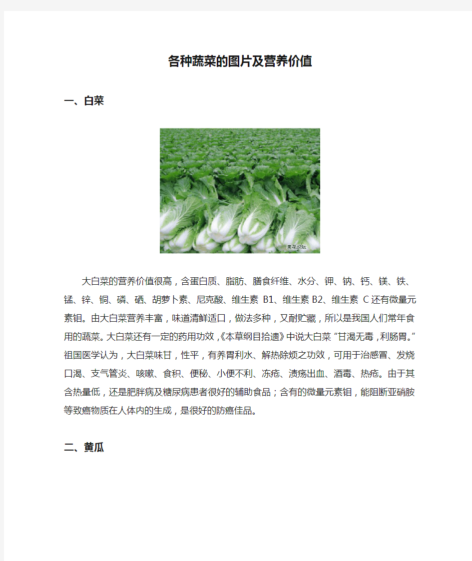 最新各种蔬菜的图片及营养价值资料