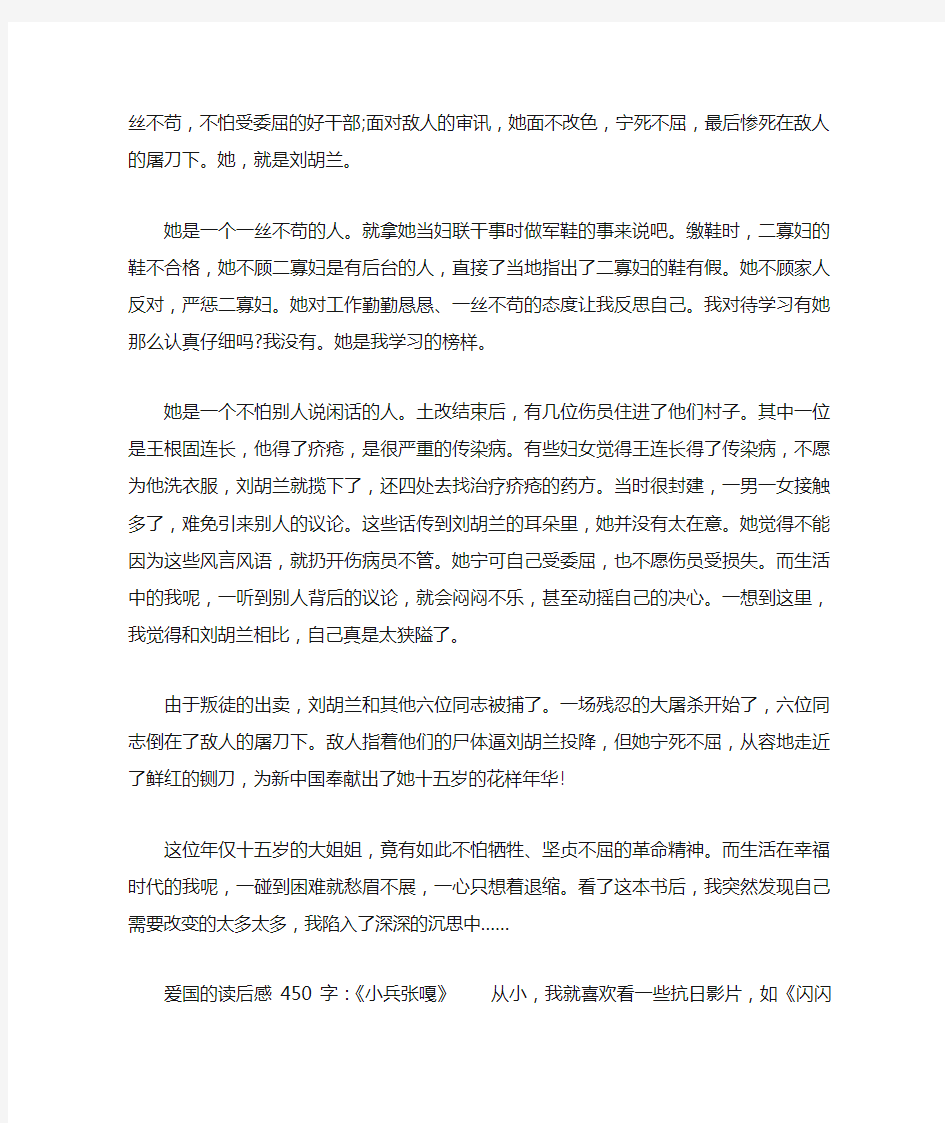 爱国的读后感450字