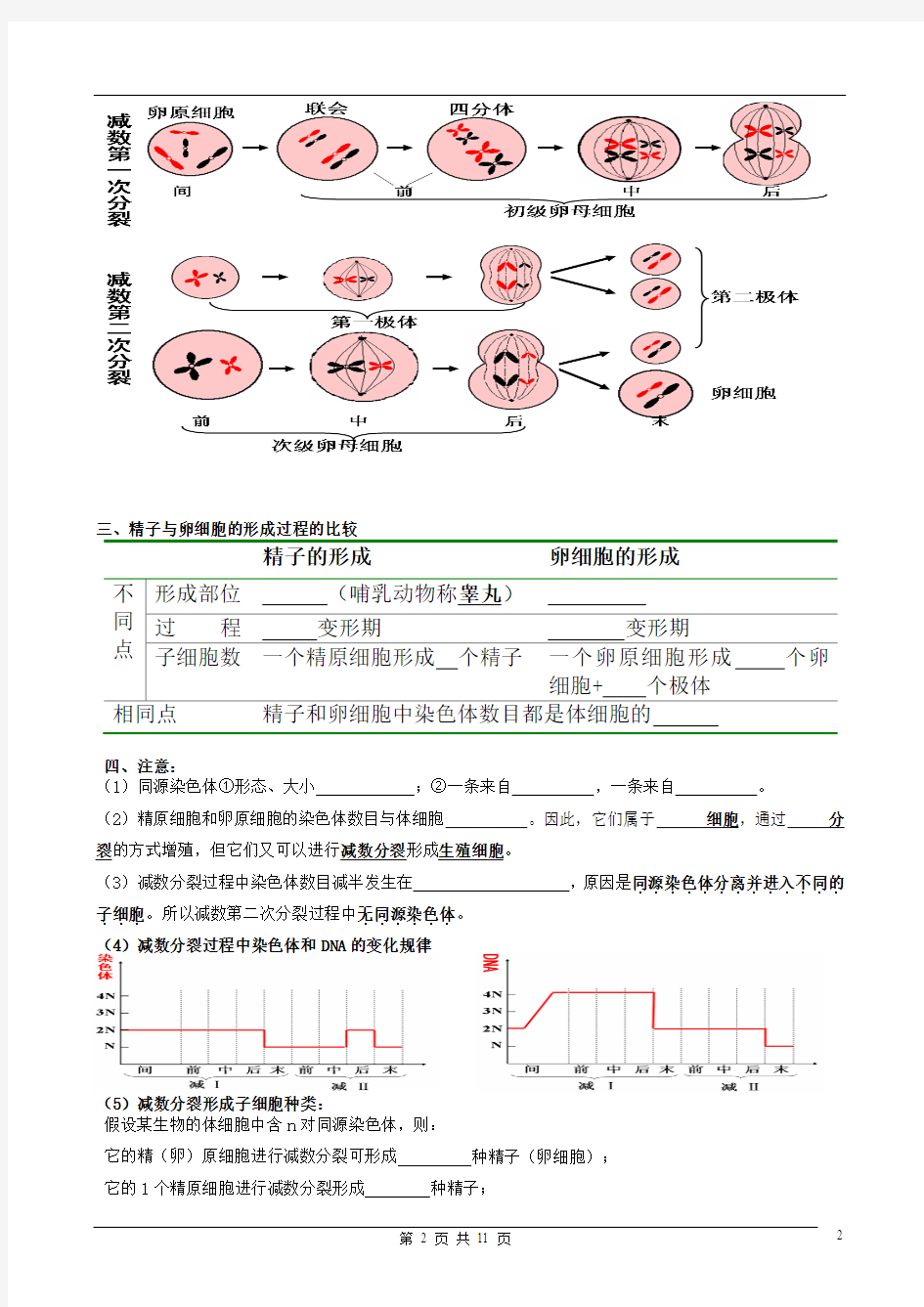 生物必修2复习提纲(必修)修改